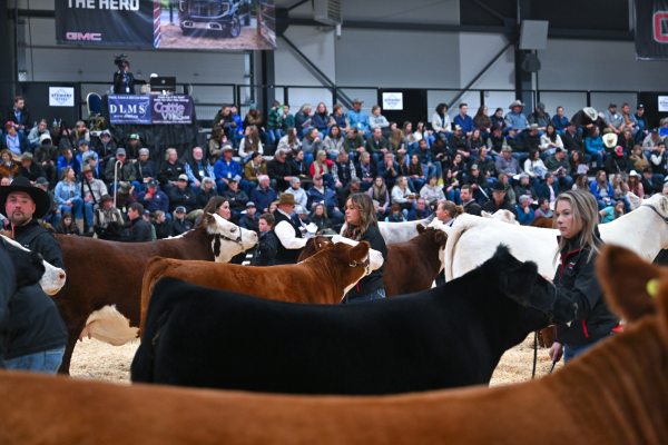Canadian Western Agribition 2025