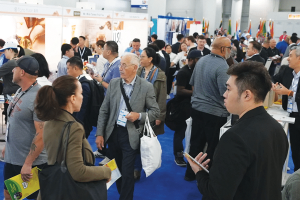 International Franchise Expo 2026