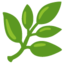 Herb emoji for nutraceutical and natural product companies